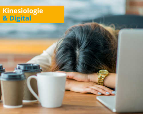 Zoom-Fatigue aus energetischer und kinesiologischer Sicht